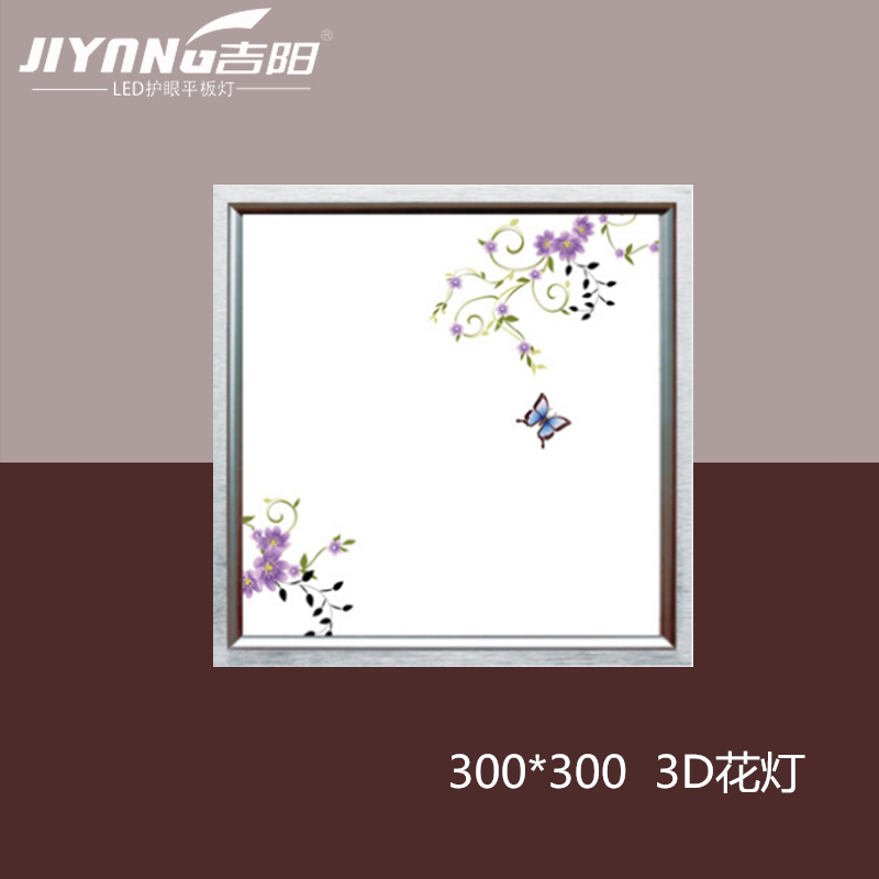 LED���� 300*300ƽ��3D����