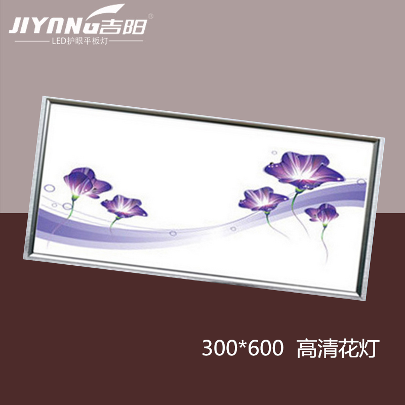 LED���� 300*600ƽ����廨��