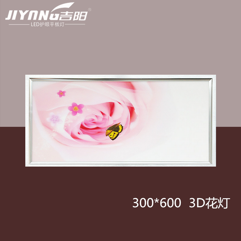 LED���� 300*600ƽ��3D����